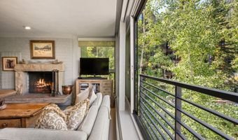 728 S Galena St 202-B, Aspen, CO 81611