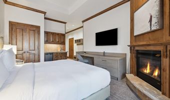 415 E Dean St Unit 2 Week 31, Aspen, CO 81611