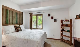 322 Davis Ct, Breckenridge, CO 80424