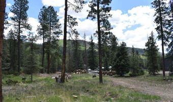 264 Ponderosa Homes Rd, Bayfield, CO 81137