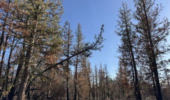 Hummingbird Drive, Bonanza, OR 97623