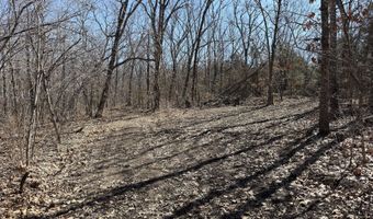 Rt 1 County Rd 14-531, Ava, MO 65608