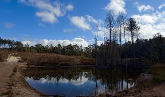 0 Progress Road Rd, Beaumont, MS 39423