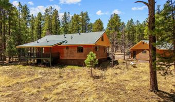 61 Co Rd 2266, Alpine, AZ 85920