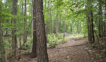 5009 Holly Brook Dr, Apex, NC 27539