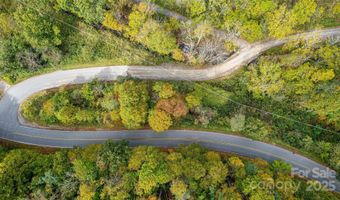 10 Dodd Rd, Barnardsville, NC 28709