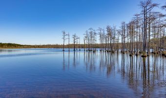 1924 Niagara Dr, Camden, SC 29020