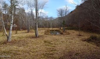 1693 Steve Brown Rd, Bean Station, TN 37708