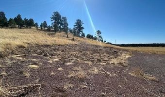 6 County Road 2331, Alpine, AZ 85920