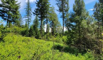 Bootlegger Lane- Parcel 1, Bonners Ferry, ID 83805