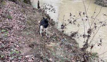 225 Stone Rd, Albertville, AL 35951