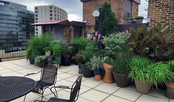 1825 T St NW 303, Washington, DC 20009
