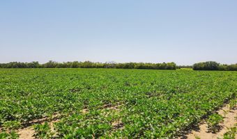 81 3+/- Acres SW Boyer Rd, Augusta, KS 67010