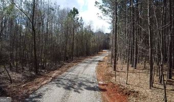 TRACT 9 Ramah Church Road unit 9 9, Barnesville, GA 30204