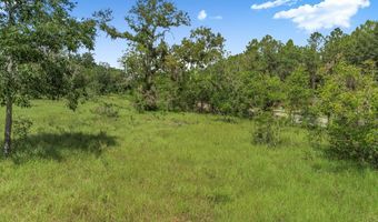 TBD 10th St, Bell, FL 32619
