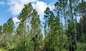 542 Lilla B Gaskins Rd, Alapaha, GA 31622