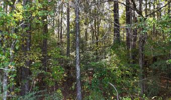 Old Pinola Braxton Rd Road, Braxton, MS 39044
