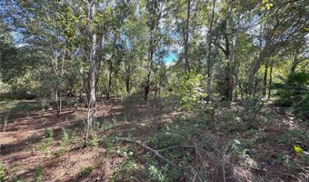 0 ALTURAS BABSON PARK CUT OFF Rd, Bartow, FL 33830