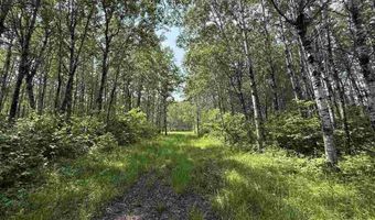 Samuelson Road-Sec22, Angora, MN 55703