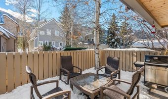 825 E Hopkins Ave 2S, Aspen, CO 81611