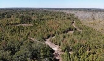 Broxton Bridge Road, Bamberg, SC 29003