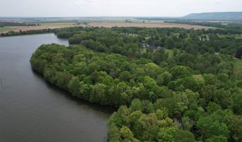 Tract 1 East Bay Road, Atkins, AR 72823