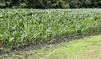 1985 County Rd 15 Blvd, Ames, NE 68621