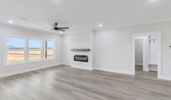 2003 Silcox Rd, Ashford, AL 36312