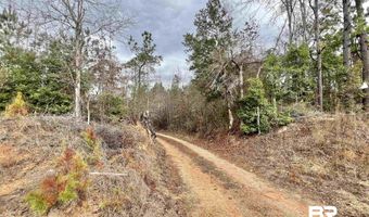 21000 Block Highway 21, Beatrice, AL 36425