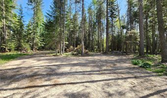 1365 MT Highway 209, Bigfork, MT 59911