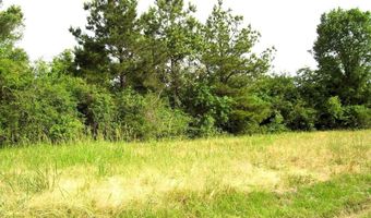 118 LR 27, Ashdown, AR 71822