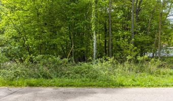 202 Lowe St, Allegan, MI 49010