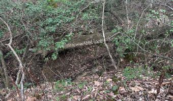 0 Vista Ln, Bethel Springs, TN 38315