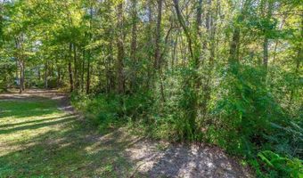 Barnes Rd, Andrews, SC 29510
