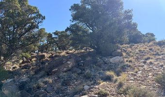 1037 S Canyon Dr, Cedar City, UT 84720