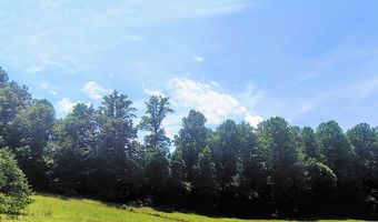 138 Stooksbury Ln, Andersonville, TN 37705