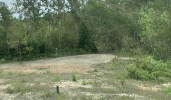 40 Acres Forestry Road 356, Beaumont, MS 39423