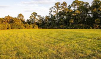100 Acres Harmony Church Rd, Andalusia, AL 36421