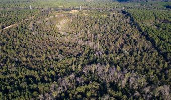 0 Morris Lndg, Baxley, GA 31513