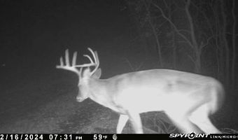 1226 Joe Kidder Rd, Arnaudville, LA 70512
