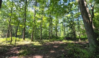 11128 Coleman Rd, Bennington, IN 47011