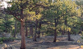 12190 Highway 7, Allenspark, CO 80510