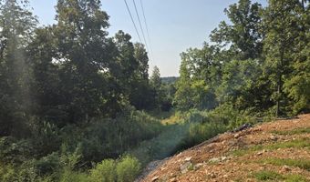 7378 P Rr 7, Ava, MO 65608