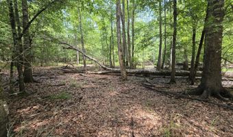 River Rd, Bascom, FL 32423