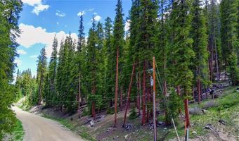 1013 RANGE Rd, Breckenridge, CO 80424