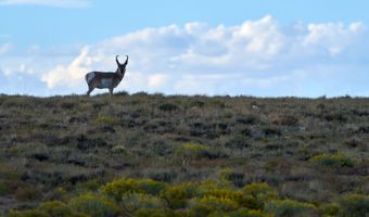Sheep Mountain Road, Centennial, WY 82055