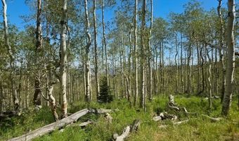 40 Acres Summit Mountain Rd, Brian Head, UT 84719