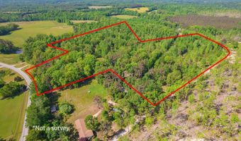 9402 Brooksie Thompson Rd, Bath Springs, TN 38311