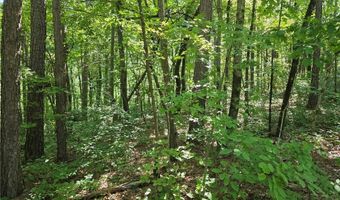 0 Byers Dr, Ball Ground, GA 30107