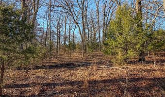 W Watson Creek Rd, Atoka, OK 74525